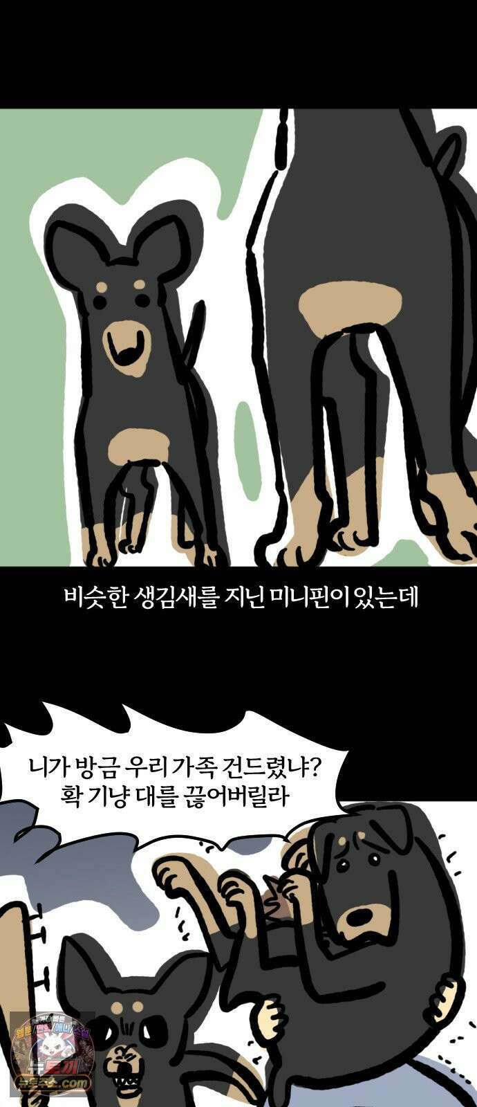 개집사 180화: 돌아온 견종 특집-도베르만 편 12
