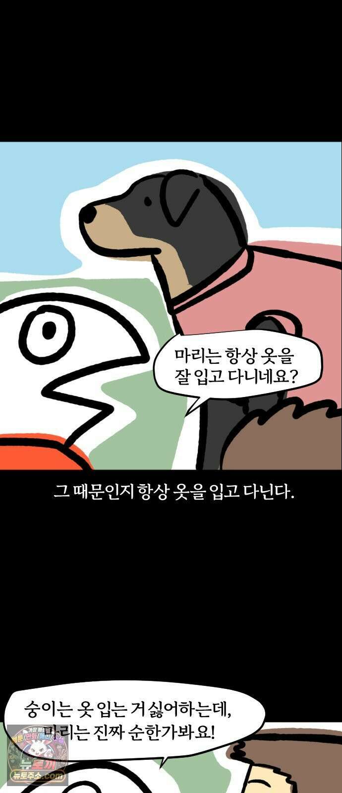 개집사 180화: 돌아온 견종 특집-도베르만 편 14