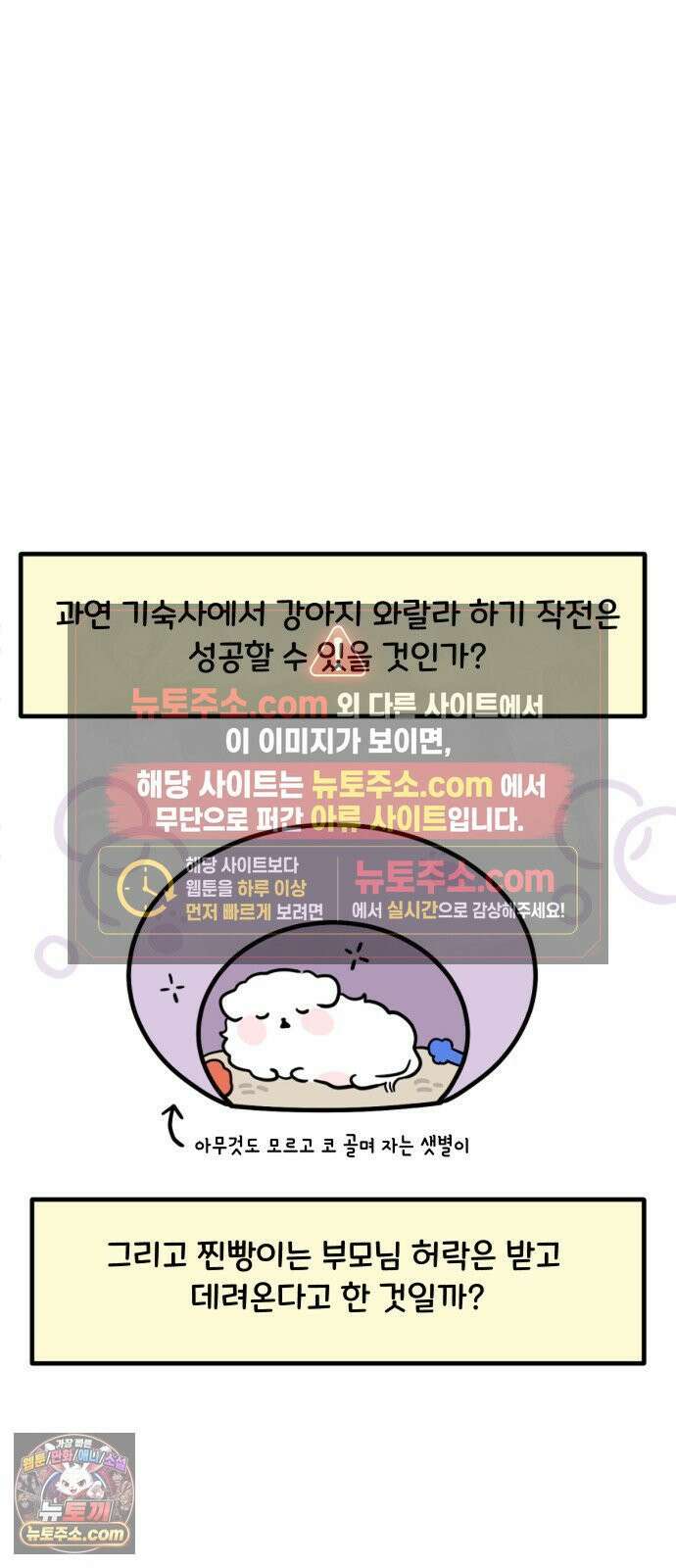 과학고 생존일지 40빵 강아지 밀반입 대작전 13