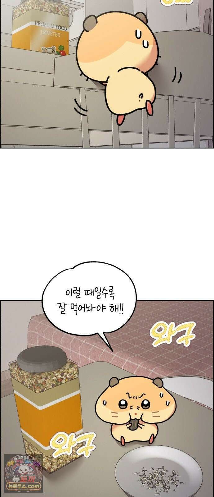 냥냥찍찍! 35화． 햄스터도 감기에 걸리나요? 15