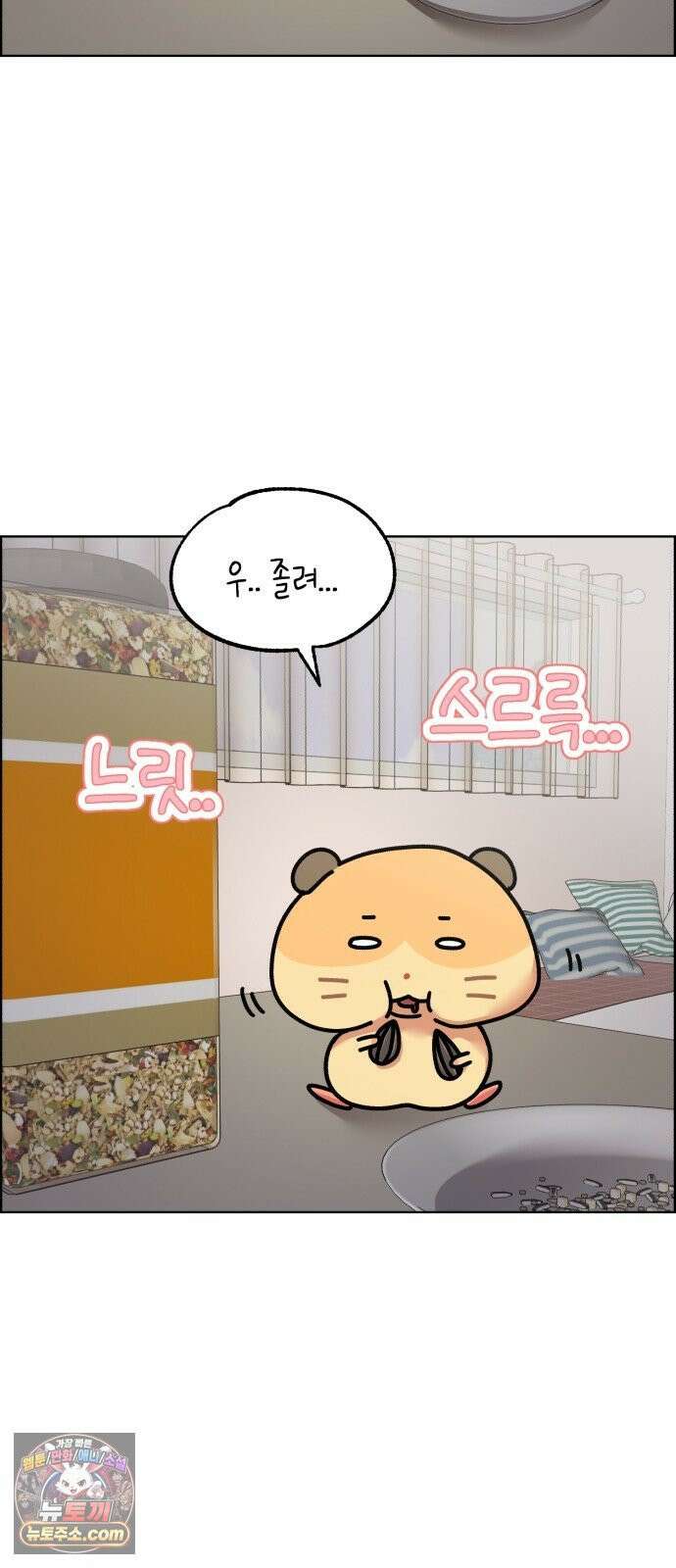 냥냥찍찍! 35화． 햄스터도 감기에 걸리나요? 16
