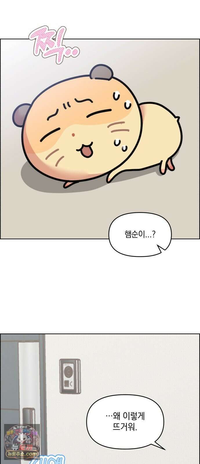 냥냥찍찍! 35화． 햄스터도 감기에 걸리나요? 24
