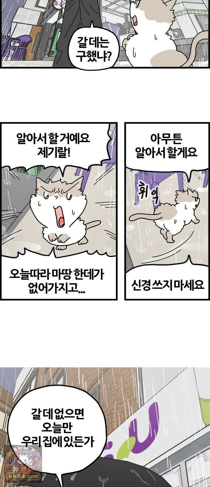 사회초년캣 10화 비오는 날 -2 3