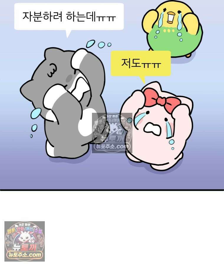 멍냥패밀리 34화 다가오는 출산 10