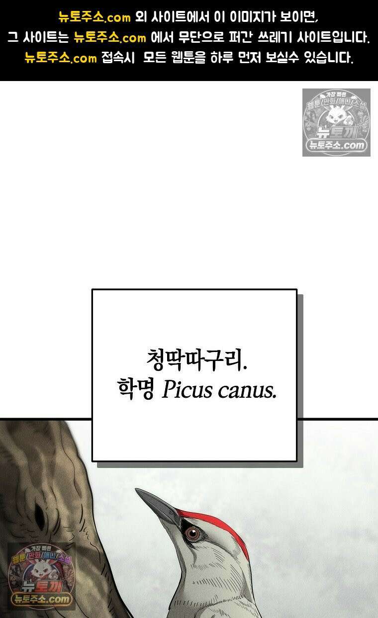개미 9화 1