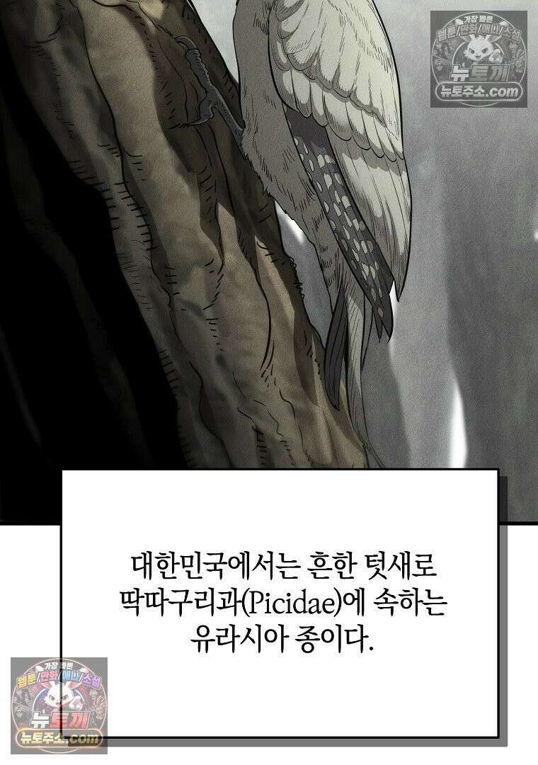 개미 9화 2