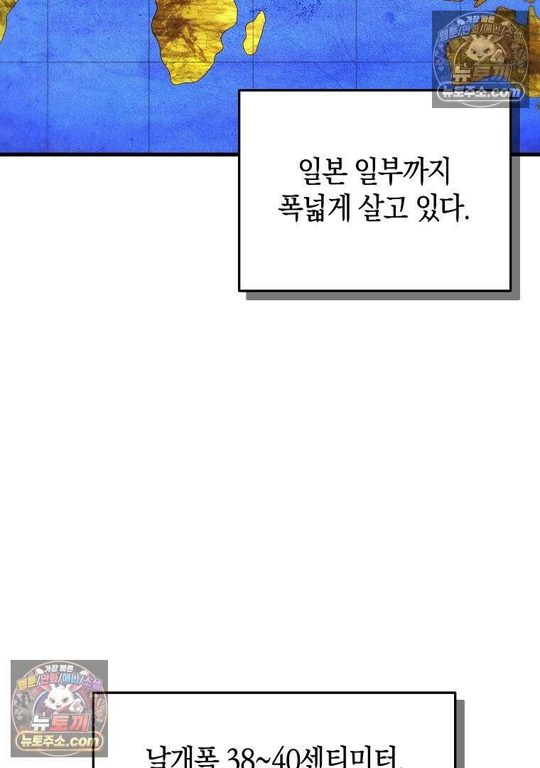 개미 9화 4