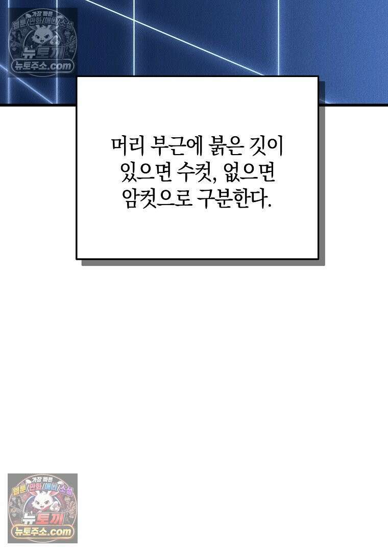 개미 9화 6