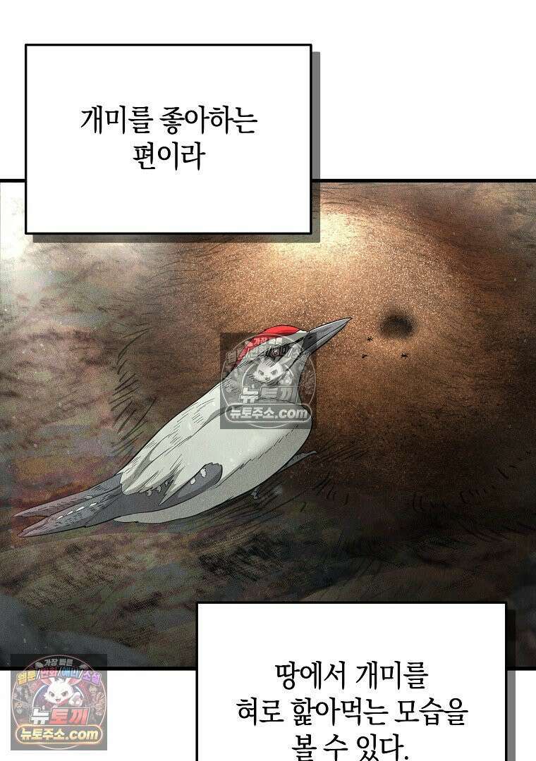 개미 9화 7