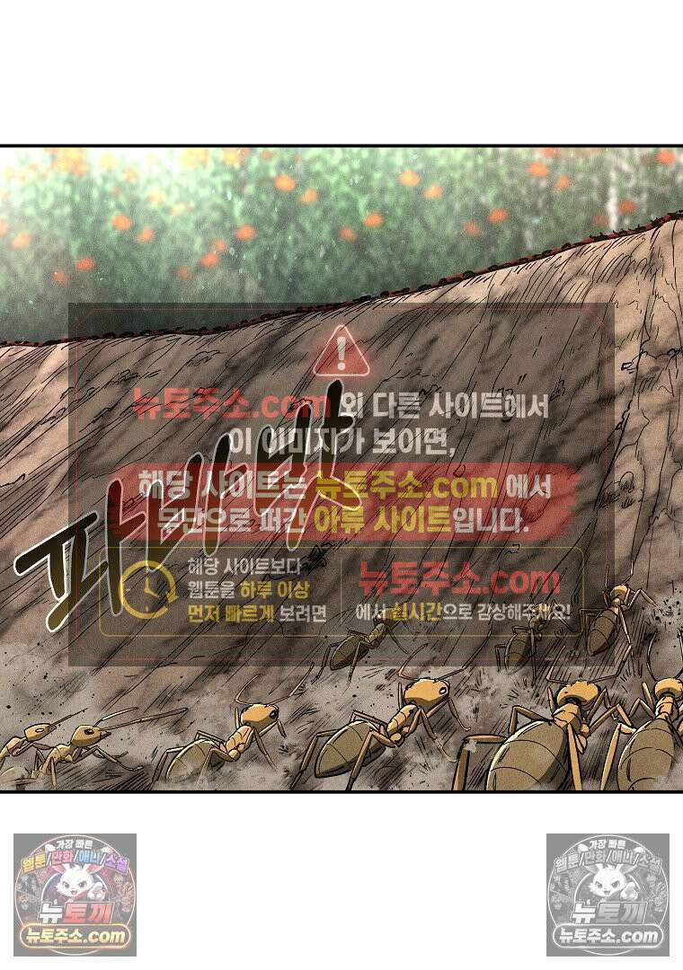 개미 31화 17