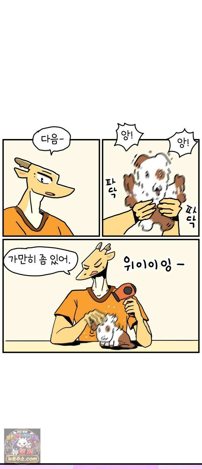 소심한 호랭이 코코 88화 찜질방 바가지 친구 (2) 완 4