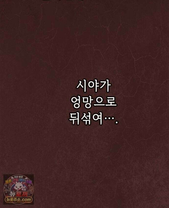 백의사자 156화 틀리지 않았어 90