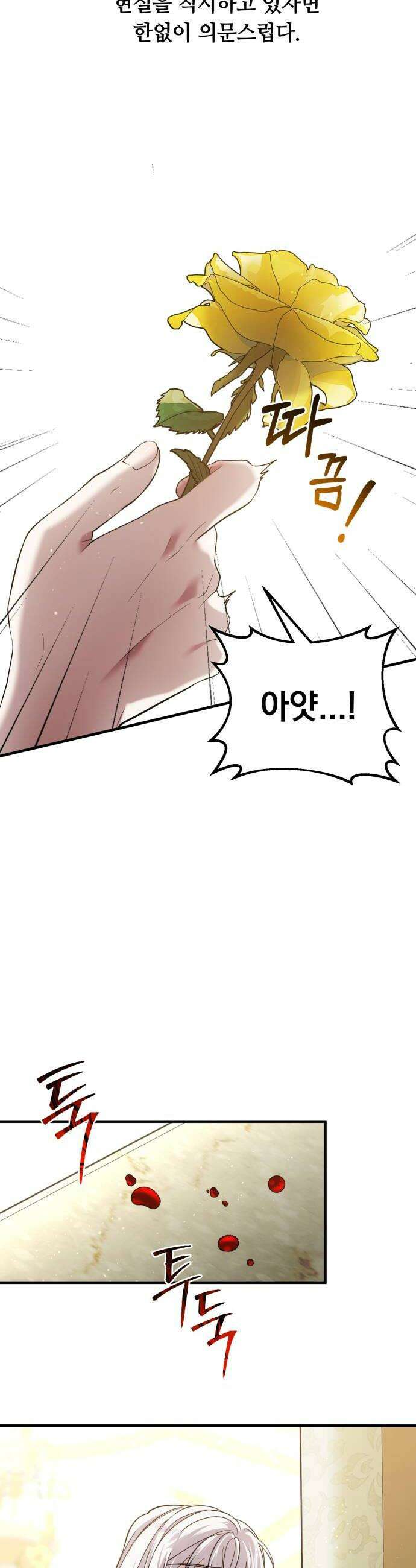 복수를 위한 결혼동맹 71화 10