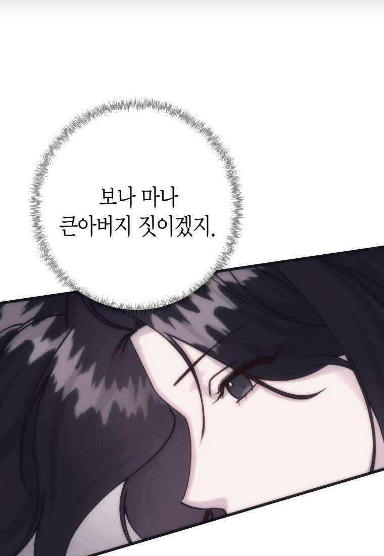 불온한 파트너십 55화 11