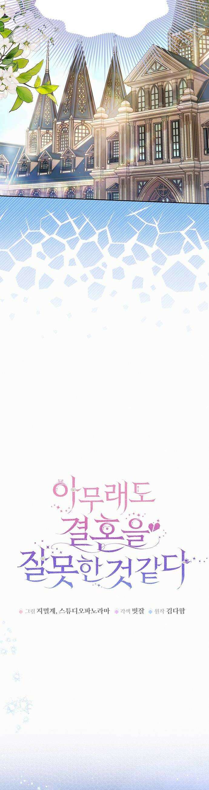아무래도 결혼을 잘못한 것 같다 55화 14