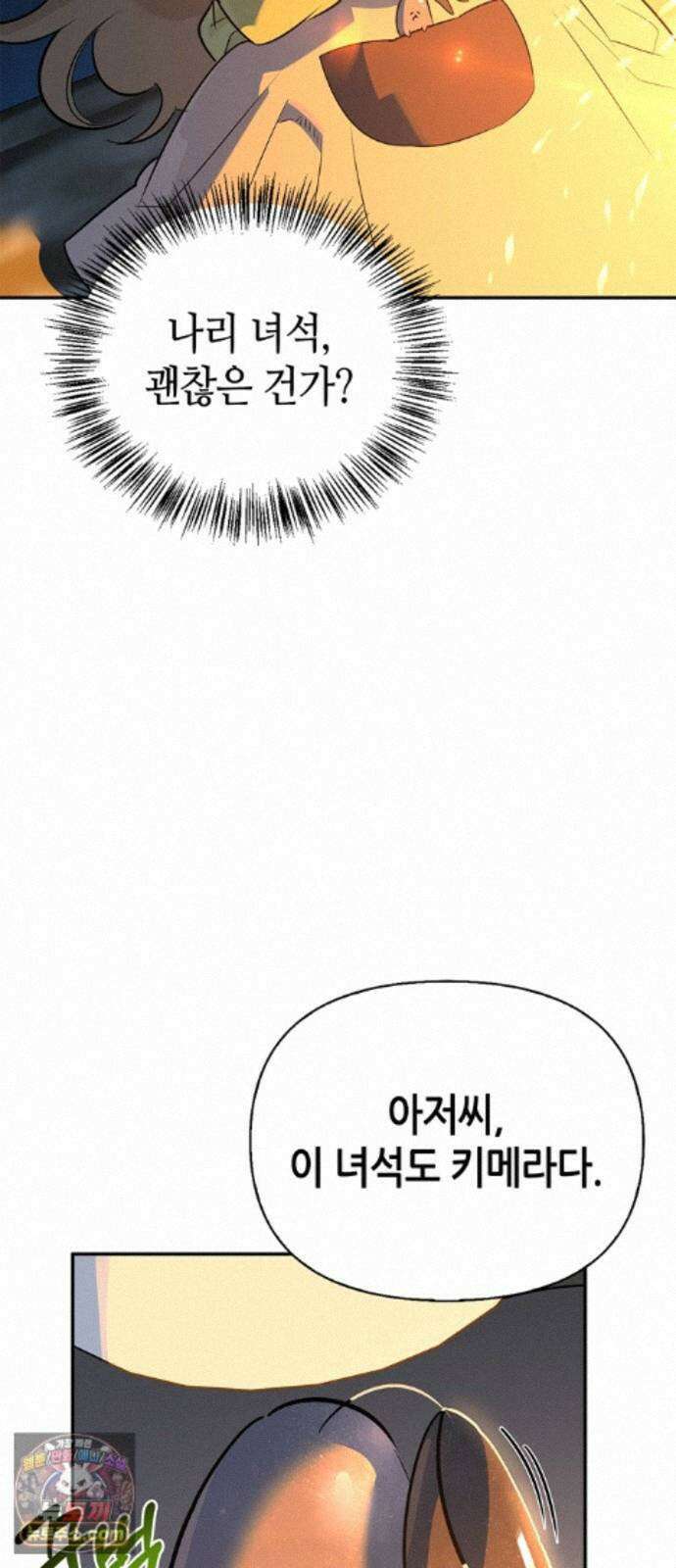 몬스터와 힐링하는 S급 헌터 49화 : 산성 안개의 비밀 51