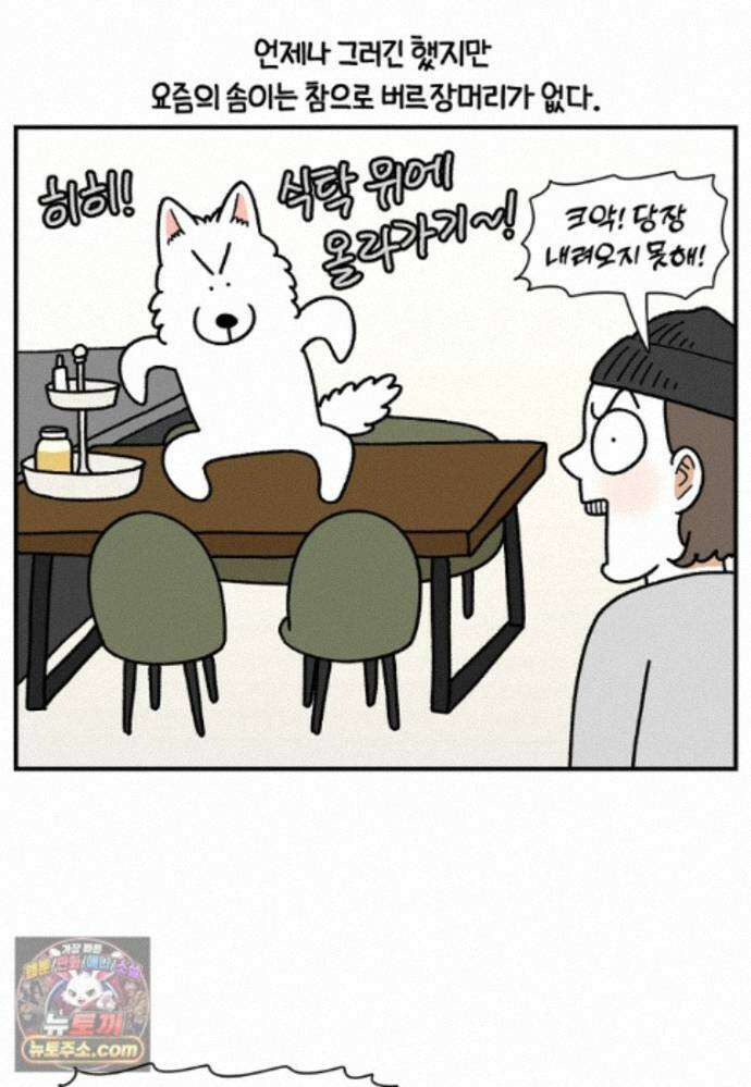 극한견주 시즌2 141화 새로운 장난감 2