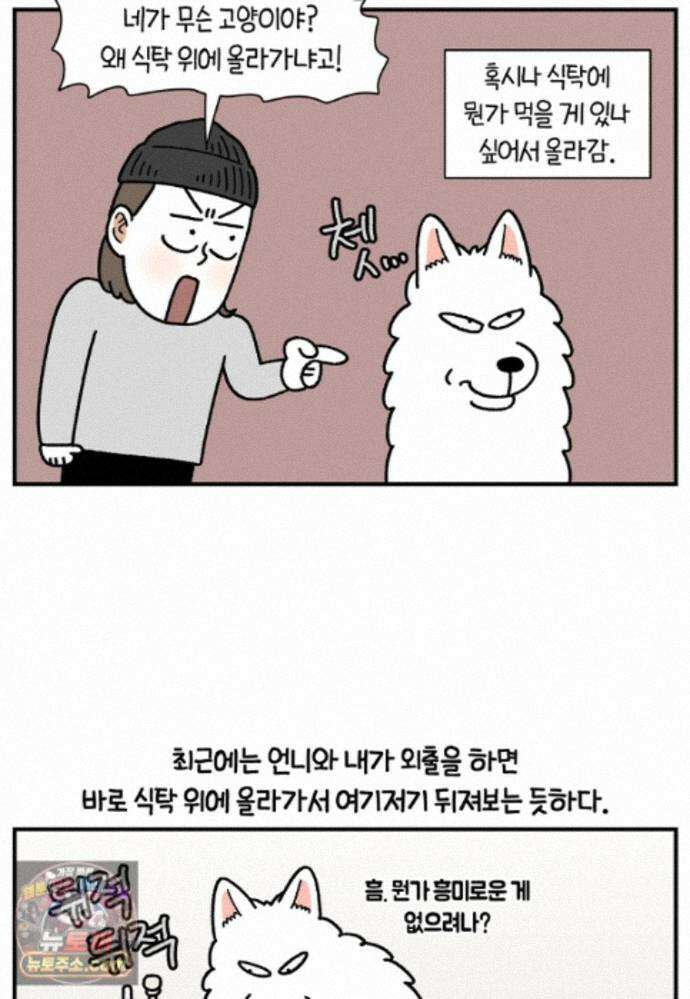 극한견주 시즌2 141화 새로운 장난감 3