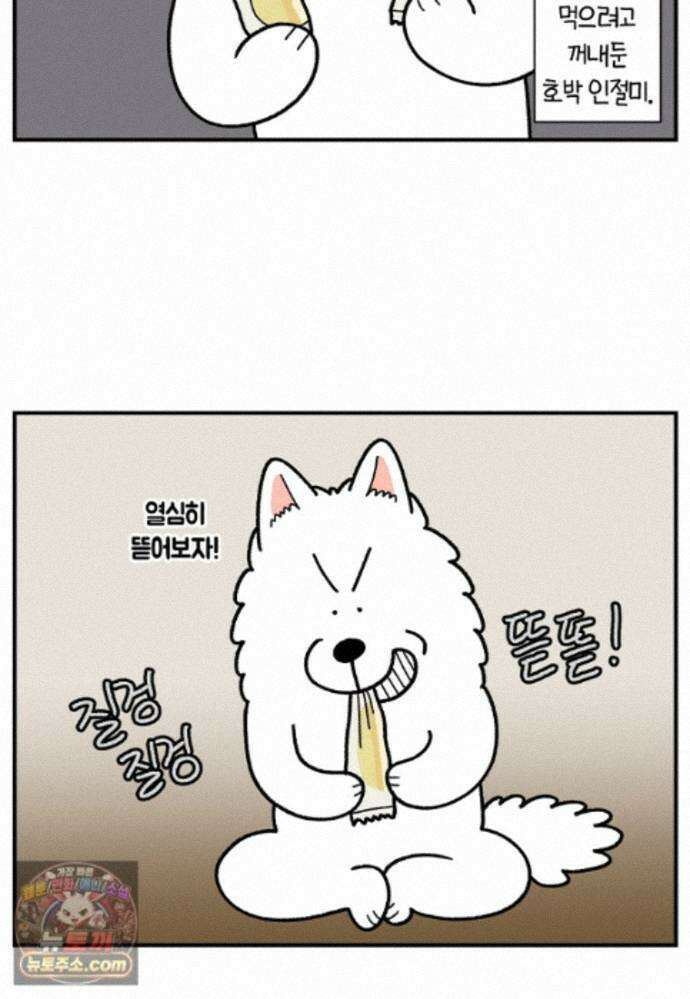 극한견주 시즌2 141화 새로운 장난감 5
