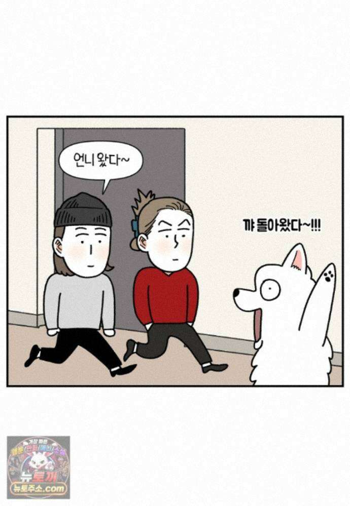 극한견주 시즌2 141화 새로운 장난감 6