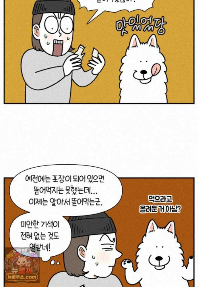 극한견주 시즌2 141화 새로운 장난감 8
