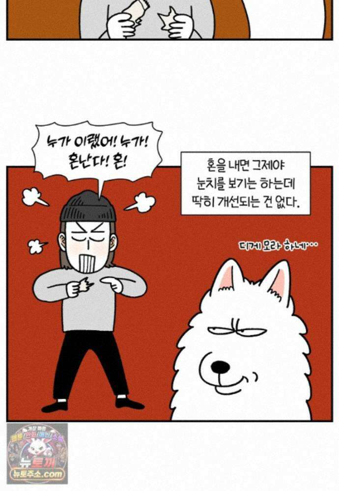 극한견주 시즌2 141화 새로운 장난감 9
