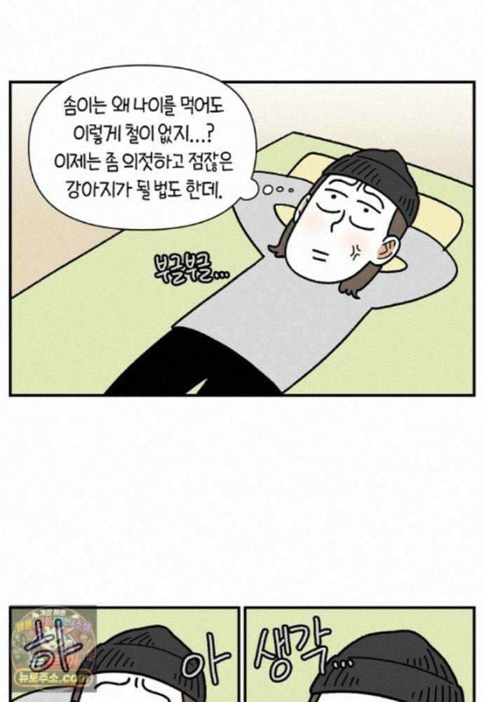 극한견주 시즌2 141화 새로운 장난감 10