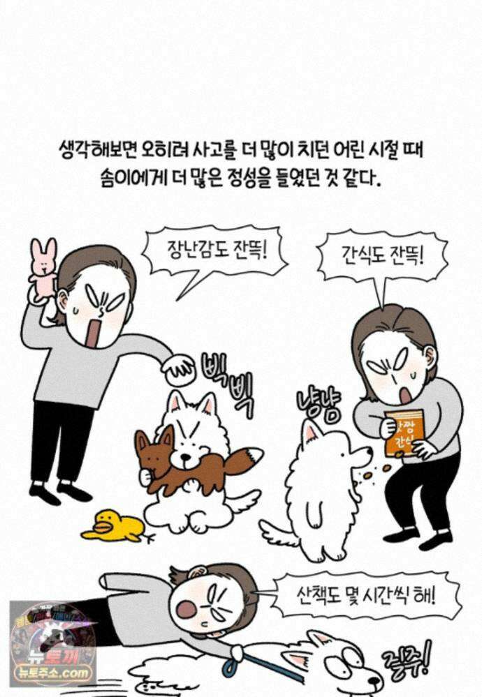 극한견주 시즌2 141화 새로운 장난감 12