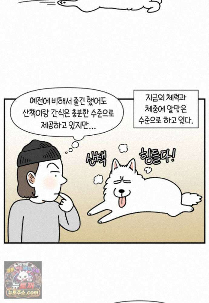 극한견주 시즌2 141화 새로운 장난감 13