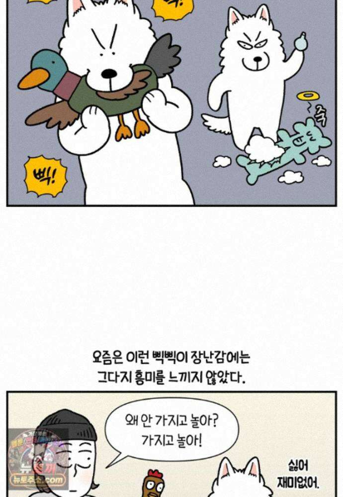 극한견주 시즌2 141화 새로운 장난감 15