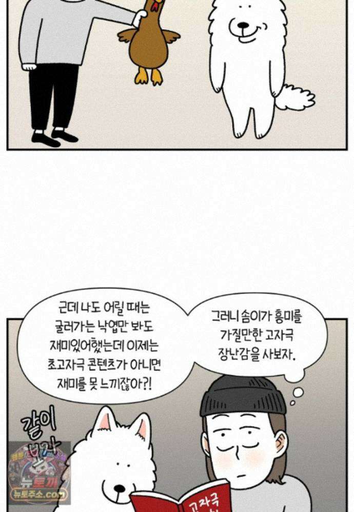 극한견주 시즌2 141화 새로운 장난감 16
