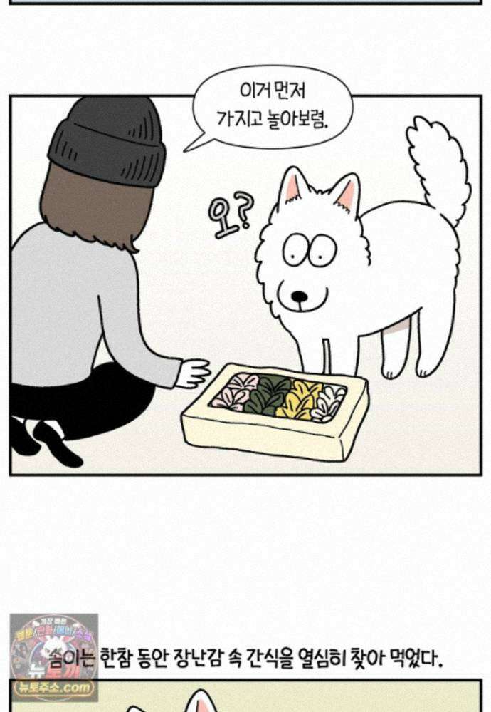극한견주 시즌2 141화 새로운 장난감 18