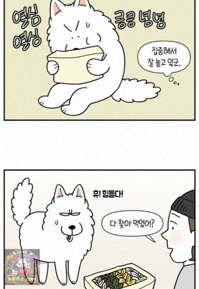 극한견주 시즌2 141화 새로운 장난감 19