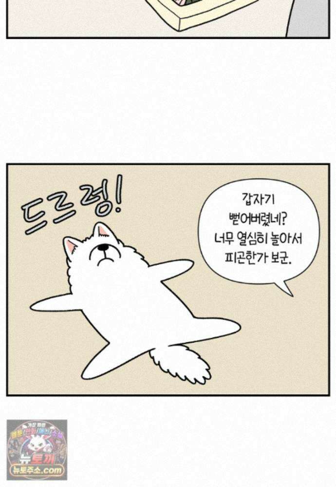 극한견주 시즌2 141화 새로운 장난감 20