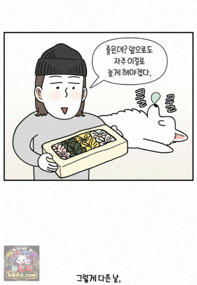 극한견주 시즌2 141화 새로운 장난감 21
