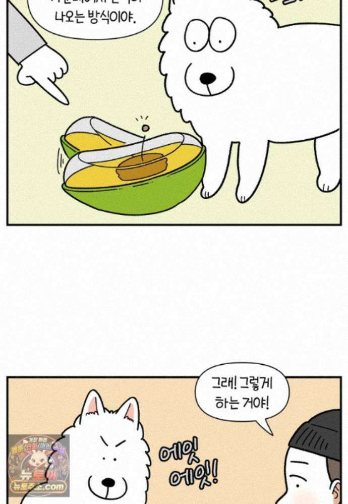 극한견주 시즌2 141화 새로운 장난감 23