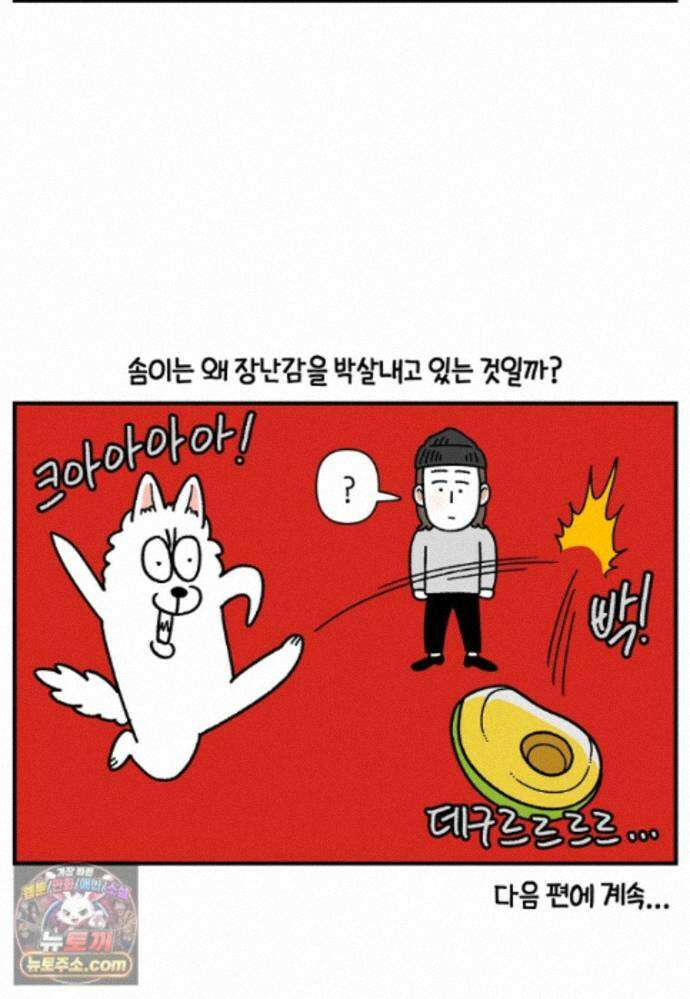 극한견주 시즌2 141화 새로운 장난감 25