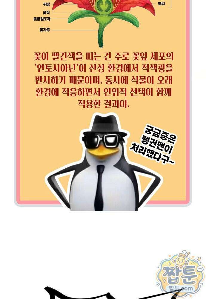 만고지존 496화 33