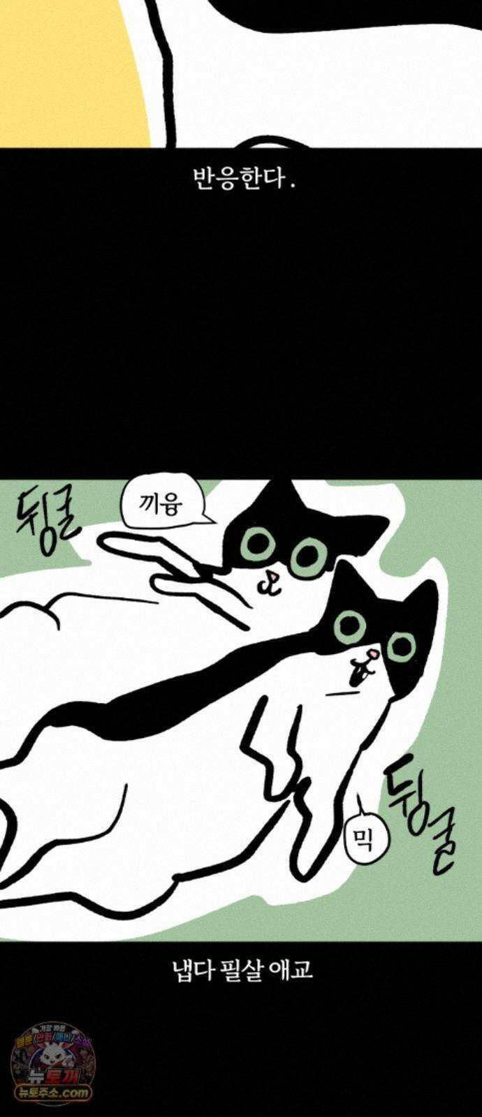 개집사 206화 고급 보디 16