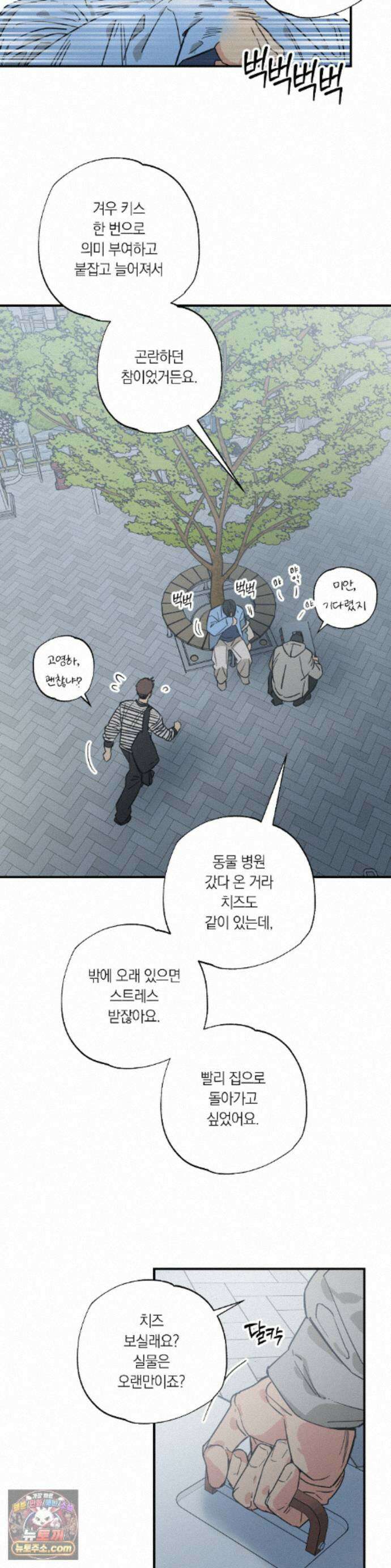 상호간택 25화 3