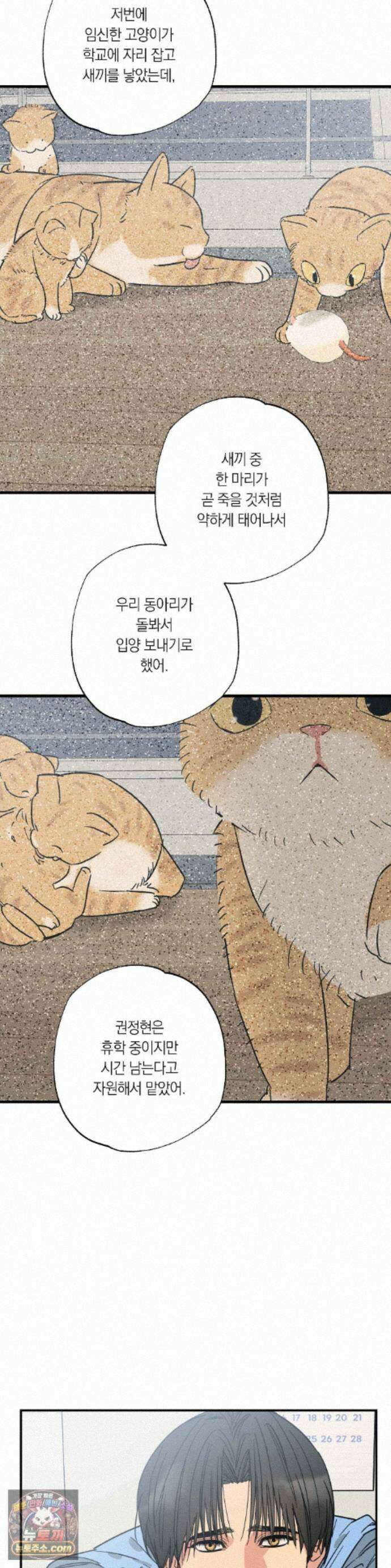상호간택 25화 9