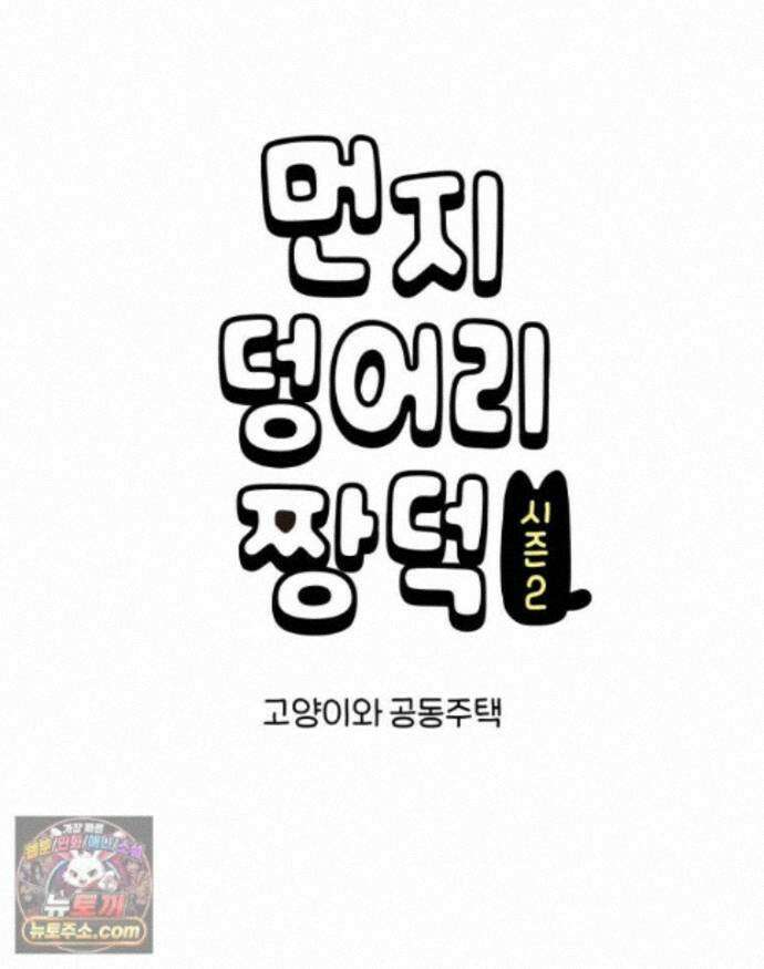 먼지 덩어리 짱덕 74. 고양이와 공동주택 1
