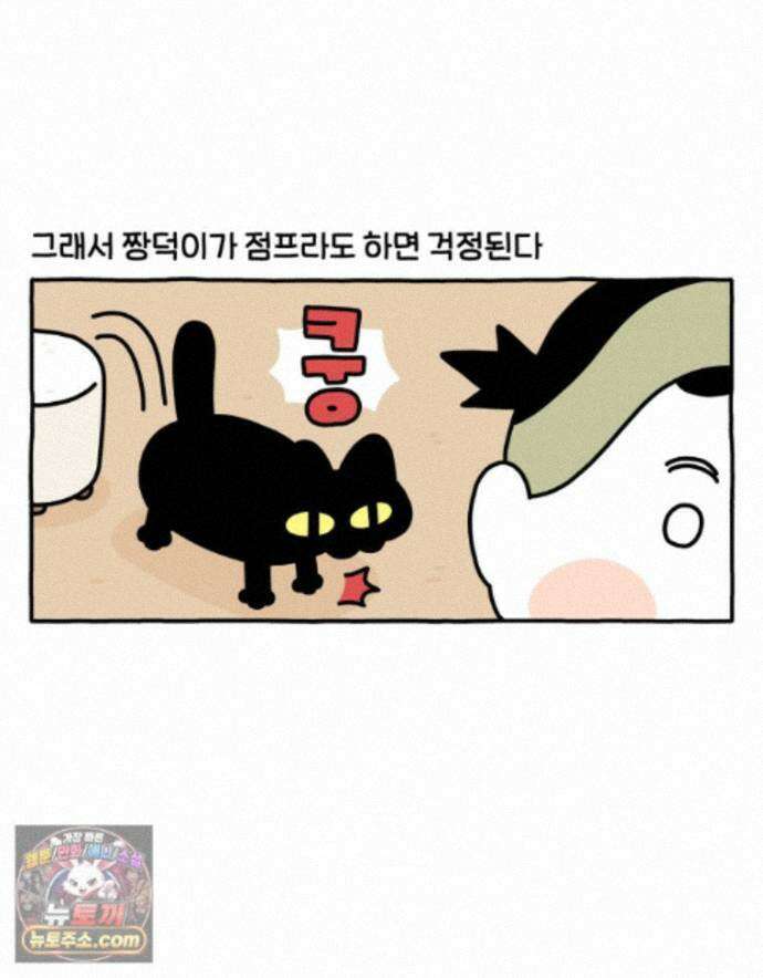 먼지 덩어리 짱덕 74. 고양이와 공동주택 3