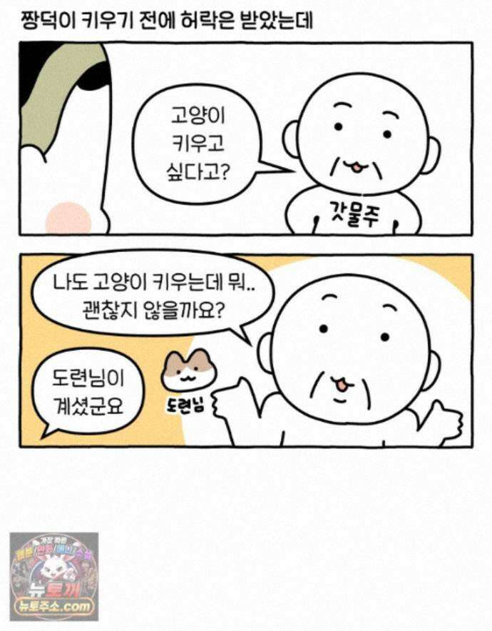 먼지 덩어리 짱덕 74. 고양이와 공동주택 5