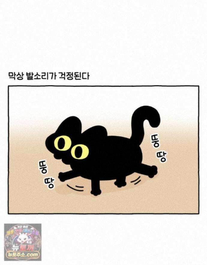 먼지 덩어리 짱덕 74. 고양이와 공동주택 6