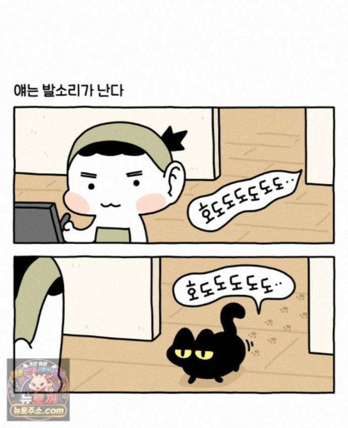 먼지 덩어리 짱덕 74. 고양이와 공동주택 8