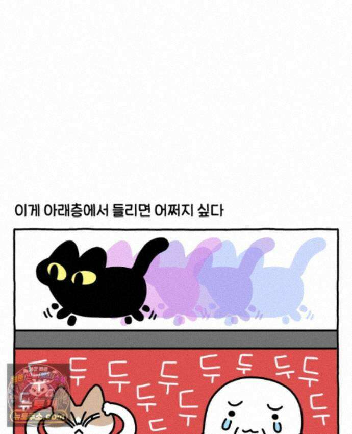 먼지 덩어리 짱덕 74. 고양이와 공동주택 9