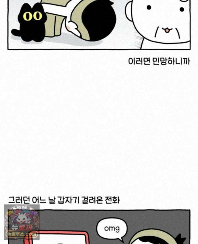 먼지 덩어리 짱덕 74. 고양이와 공동주택 11