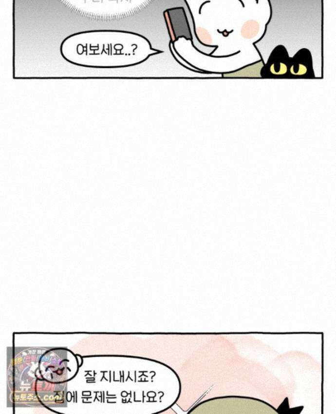 먼지 덩어리 짱덕 74. 고양이와 공동주택 13