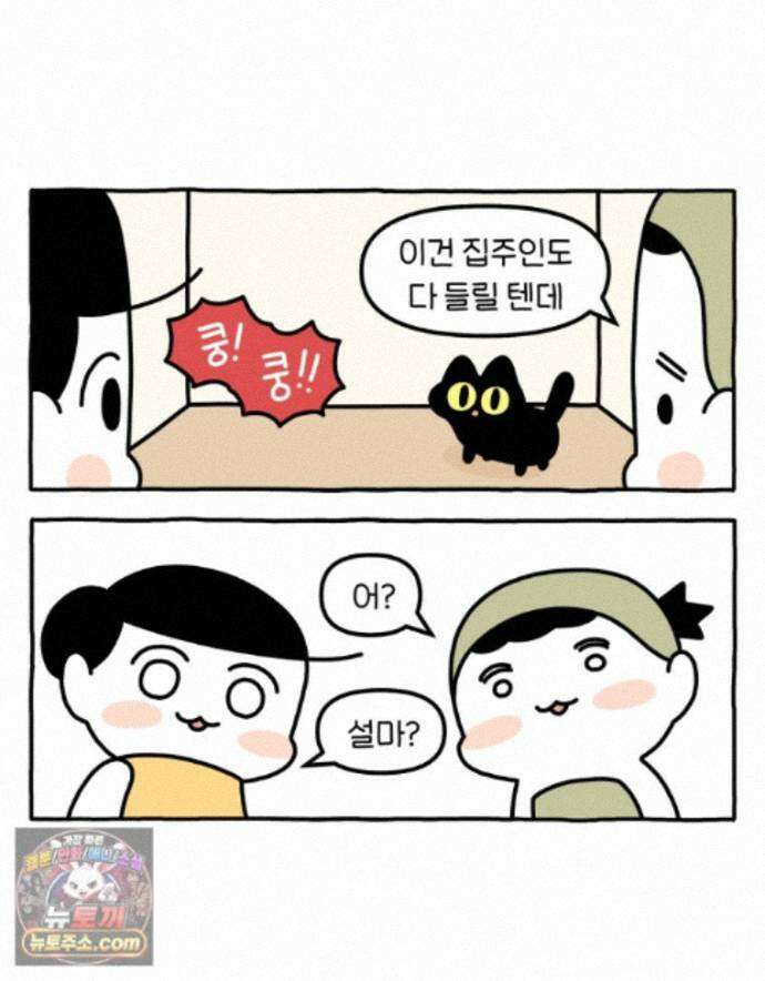 먼지 덩어리 짱덕 74. 고양이와 공동주택 16